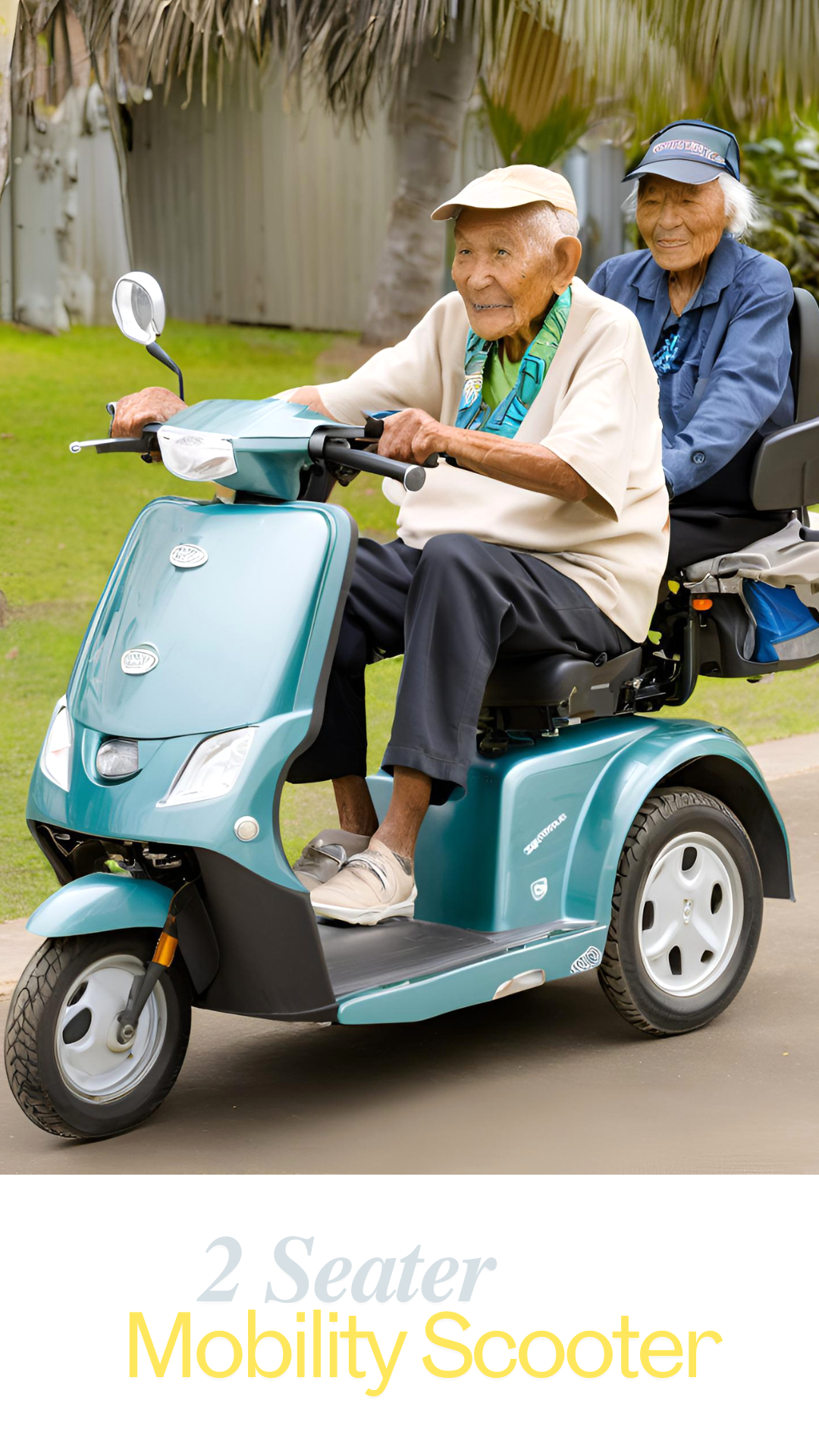 2 Seater Mobility Scooter